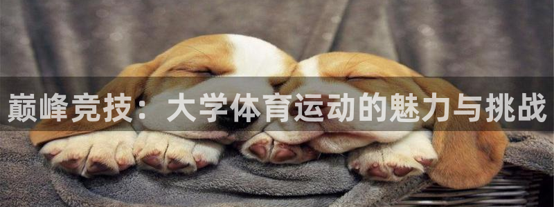 yy易游体育电竞登录不上去了：巅峰竞技：大学体育运动的魅力与