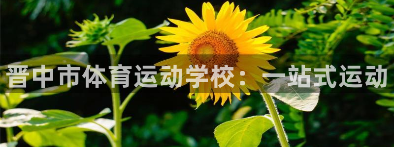 yy易游体育贴吧：晋中市体育运动学校