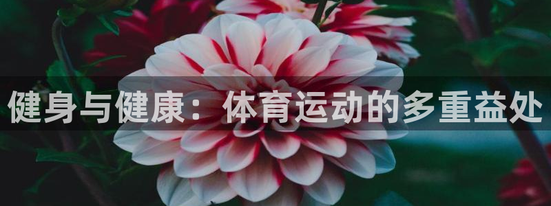  yy易游体育怎么样：健身与健康：体育运动的多重益处