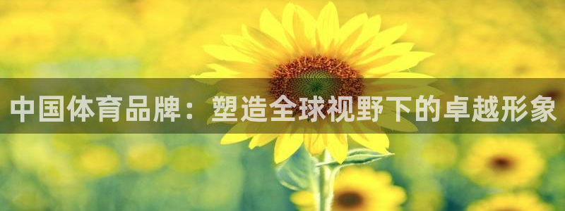  yy易游体育电竞登录不上去了：中国体育品牌：塑造全球视野下的