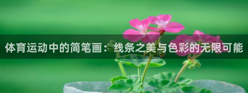yy易游体育平台：体育运动中的简笔画