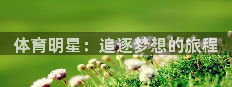 yy易游体育平台能提现吗安全吗