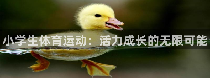 yy易游官网下载注册