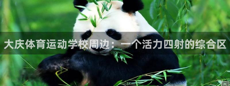 yy易游官方正版app集团：大庆体育运动学校周边：一个活力四