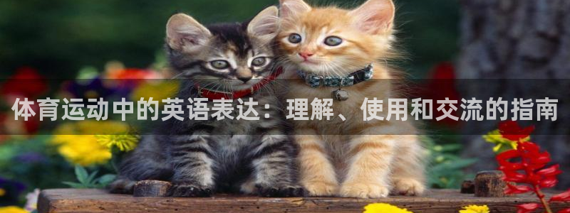 yy易游官网下载招商：体育运动中的英语表达：理解、使用和交流