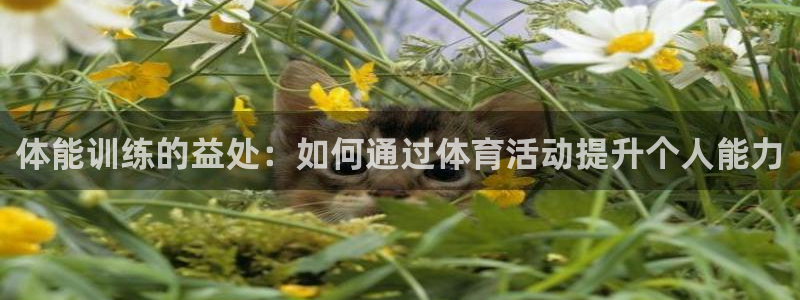 海南yy易游官网下载发展怎么样：体能训练的益处：如何通过体育